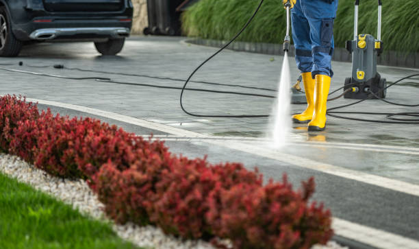 Best Solar Panel Cleaning  in Eerlin, ND
